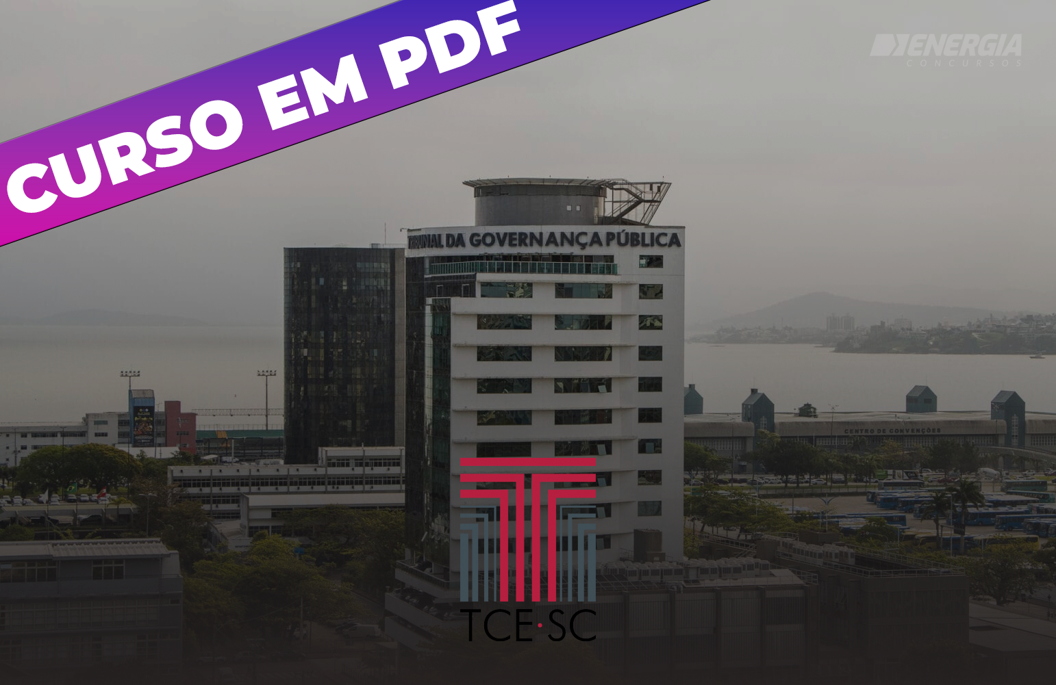 TCE SC Auditor Fiscal de Controle Externo - Direito - Curso em PDF TCE SC Auditor Fiscal de Controle Externo - Direito - Curso em PDF