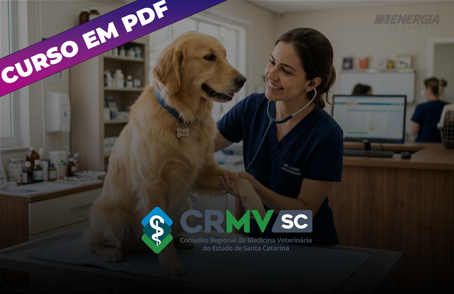 CRMV SC - Advogado - Curso em PDF